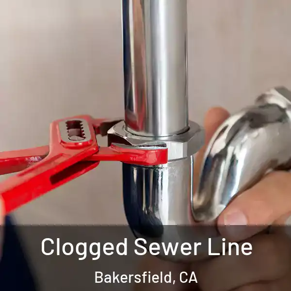  Clogged Sewer Line Bakersfield, CA