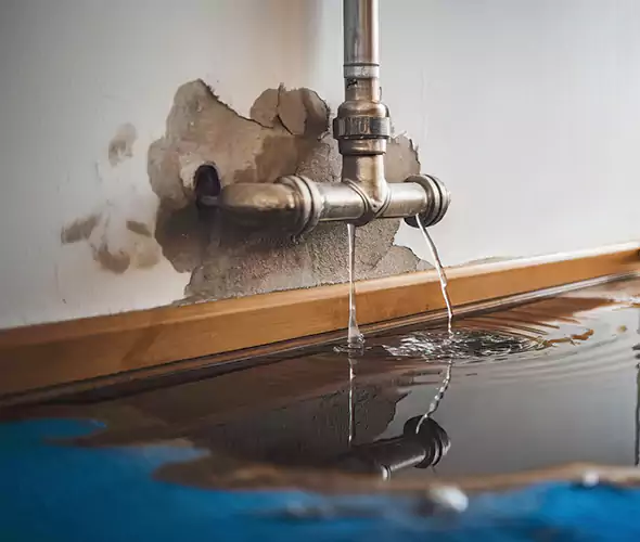 Professional Water Damage Restoration Experts in Los Angeles, CA — Fast, Reliable & Certified