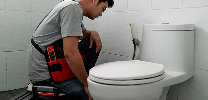 Toilet Repair in Los Angeles