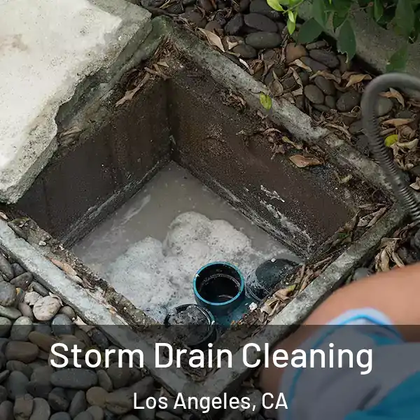  Storm Drain Cleaning Los Angeles, CA