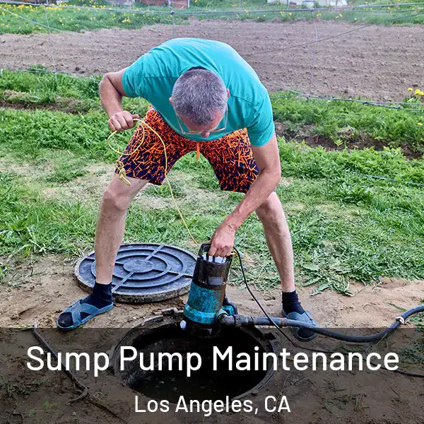  Sump Pump Maintenance Los Angeles, CA