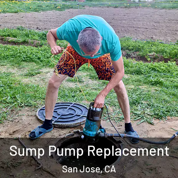  Sump Pump Replacement San Jose, CA