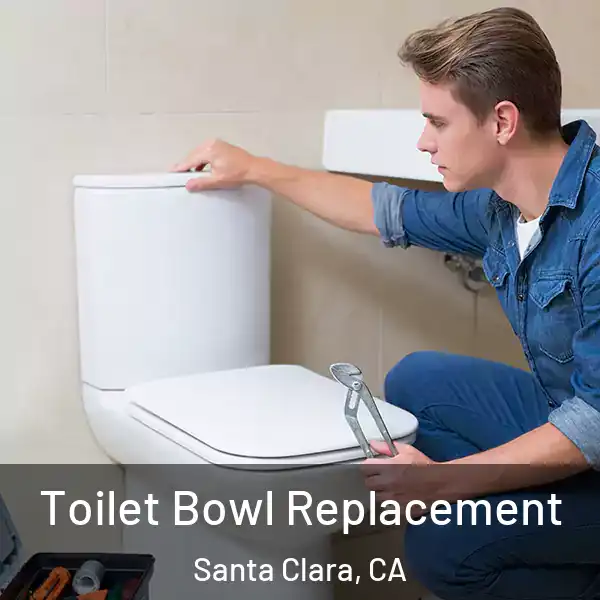  Toilet Bowl Replacement Santa Clara, CA