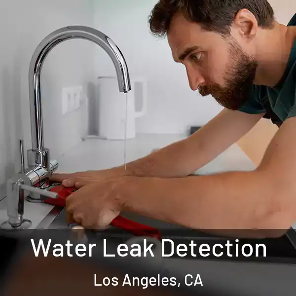  Water Leak Detection Los Angeles, CA