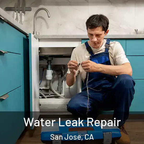  Water Leak Repair San Jose, CA